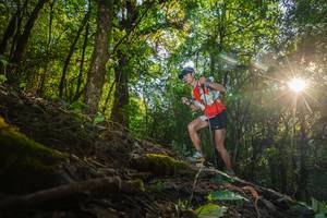 BIB: 
                            <button type="button" onclick="openModal(16015620)" class="btn btn-primary btn-sm float-right btn-popup" data-toggle="modal" data-target=".modal-high-quality">
                        <i class="fas fa-shopping-cart"></i> Add to Cart
                    </button>
                                            <button type="button" onclick="isThisMe(16015620, true)" class="btn btn-success btn-sm float-right btn-popup btn-isme hidden" data-toggle="tooltip" data-placement="bottom" title="นี่คือรูปของคุณใช่ไหม คลิกที่นี่เพื่อเอาเข้าอัลบั้ม">
                        <i class="fas fa-plus"></i> Add to album
                    </button>
                    <button type="button" onclick="isThisMe(16015620, false)" class="btn btn-warning btn-sm float-right btn-popup btn-isnotme hidden">
                        <i class="fas fa-ban"></i> Remove from album
                    </button>